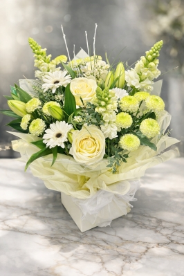 White Crystal Aqua Box