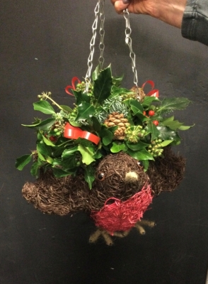Christmas Robin with Christmas foliage