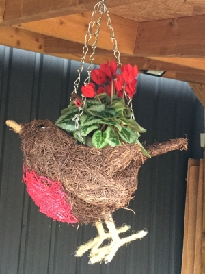 Christmas Robin with plant