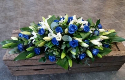 White and Blue Coffin Spray