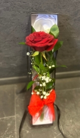 Red Rose in Black Gift Box