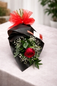 Valentine’s Red Rose (Single)