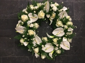 Anthurium White Wreath