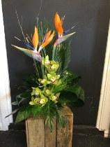 Exotic Arrangement