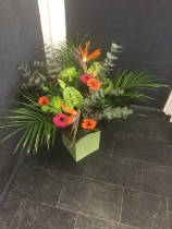 Exotic Birds of Paradise Aqua Bouquet