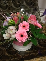 Mixed Pink Gerbera Hatbox