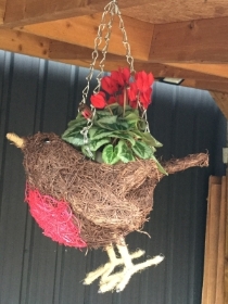 Christmas Robin with plant